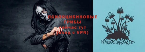 спиды Белоозёрский