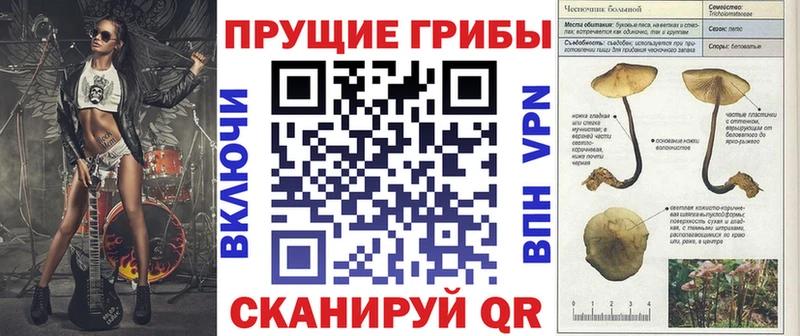 цены   Бутурлиновка  ОМГ ОМГ tor  Псилоцибиновые грибы Psilocybine cubensis 